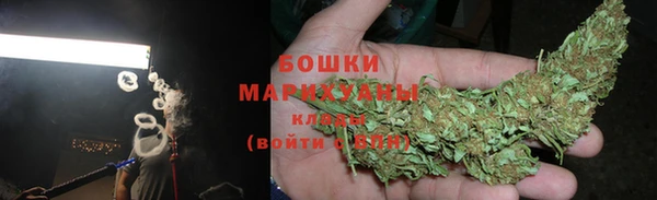 шишки Баксан
