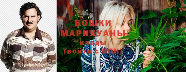 шишки Баксан