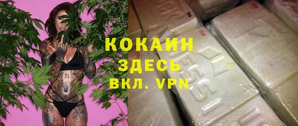 шишки Баксан