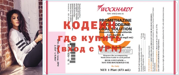 шишки Баксан