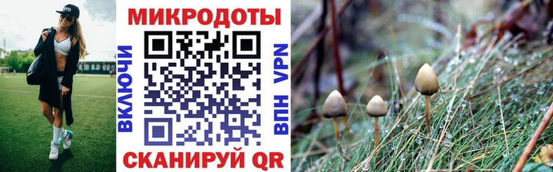 Галлюциногенные грибы мухоморы  Лебедянь 